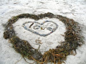 Seaweed Heart San Diego Beaches