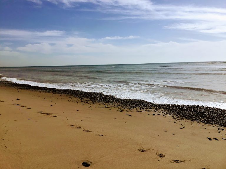 Getting to Know San Onofre State Beach – San Diego Beach Secrets