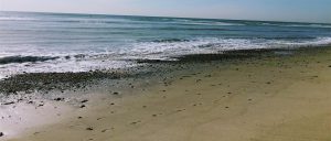 Dogpatch Surf Break San Onofre State Beach