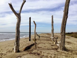 Lower Trestles Beach San Onofre State Beach