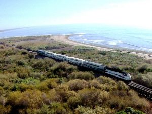 Trestles Train Through Trestles Natural Wetlands