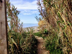 Old Mans Bamboo Garden Trail