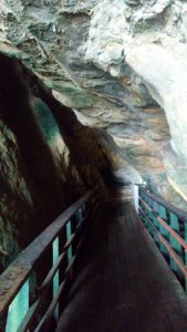 Inside Sunny Jim Cave La Jolla
