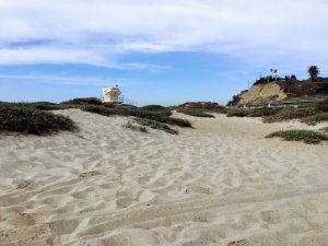 Upper Trestles Sand Dunes