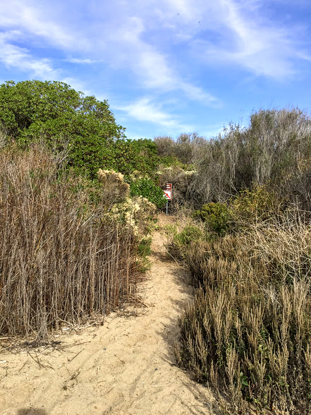 Trestles Wetlands Natural Preserve Park Trail