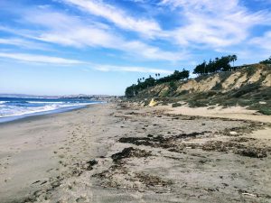 Cottons Beach San Onofre State Beach