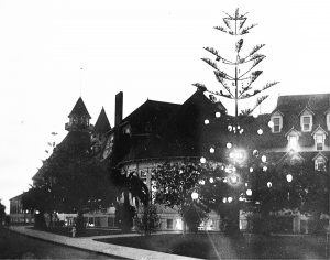 Hotel del Coronado Christmas Tree 1904