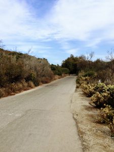 Panhe Nature Trail San Onofre State Beach