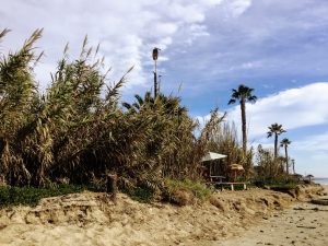 Old Mans Playground San Onofre State Beach