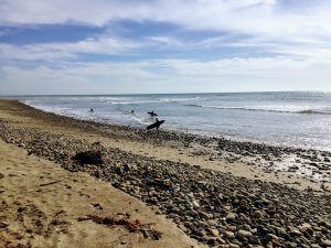 San Onofre State Beach