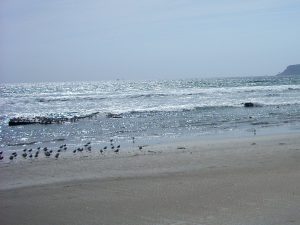 san diego beaches