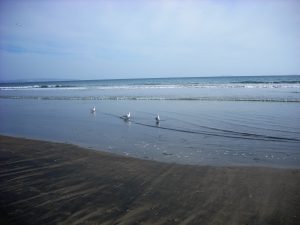 Coronado Beach Coronado Island San Diego CA
