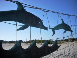 North Island Beach Barrier