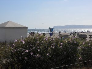 Coronado Beach Coronado Island San Diego Ca