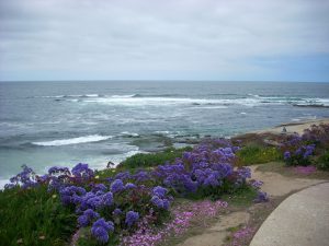 Wipeout Beach La Jolla coast walk