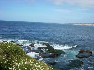 La Jolla Cove La Jolla Coast Walk