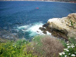 La Jolla Sunny Jim Cave