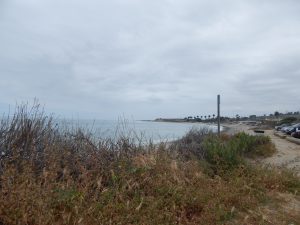 San Onofre State Beach