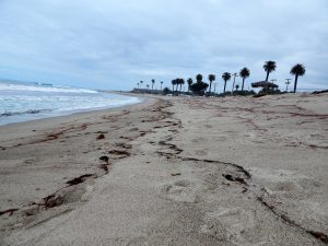 San Onofre Beach Campground Camp Pendleton