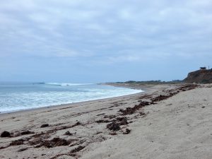 Middles Trestles San Onofre State Beach