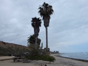 End Old Mans Beach San Onofre State Beach