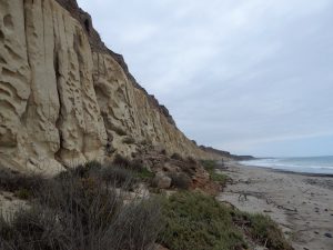 San Onofre Bluff Trails Beach