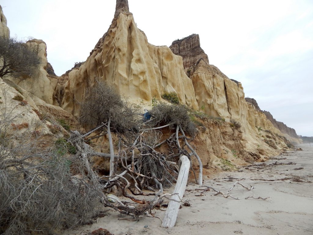 Trails Beach San Onofre State Beach