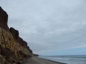 Trails Beach San Onofre State Beach