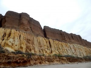 Trails Beach Bluffs San Onofre State Beach