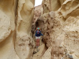 San Onofre Bluffs Trails Beach