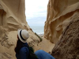 San Onofre Bluffs Crevasse Trails Beach