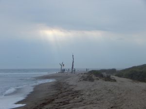 Lower Trestles San Onofre State Beach