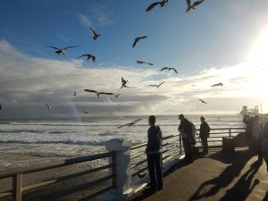 Oceanside Pier Oceanside Beach CA