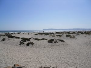 Coronado Sand Dune Coronado Island San Diego CA