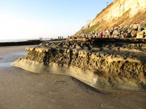 Tidepools Swami's State Beach