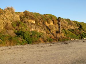 swami's state beach