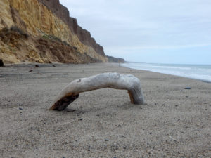 Trails Beach San Onofre driftwood sticking out sand