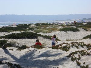 san diego beaches