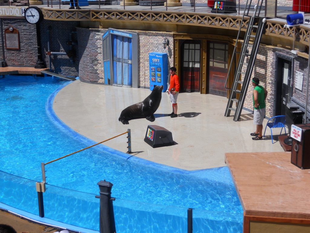 SeaWorld - A Journey Through the Years – San Diego Beach Secrets