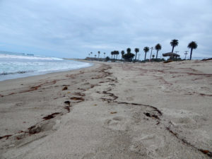 Church San Onofre San Diego Beaches