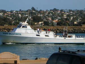 Whale Watching Boat New Seaforth Fishing Vessel