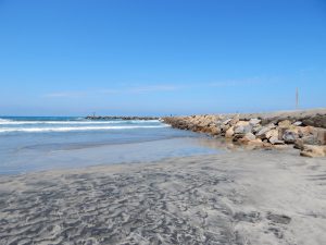 Oceanside Harbor Beach San Diego Beaches