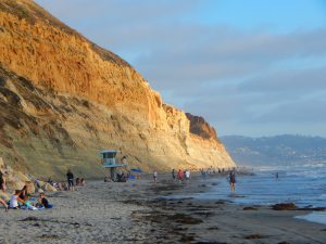 Torrey Pines State Beach sandstone bluffs