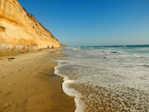 South Carlsbad Beach San Diego Beaches