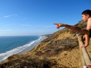 Torrey Pines State Natural Reserve San Diego Beaches