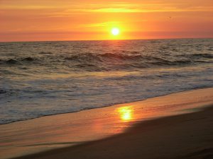 Camp Pendleton Del Mar Beach San Diego Beaches