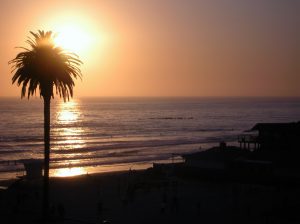 Moonlight Beach Surf Circle