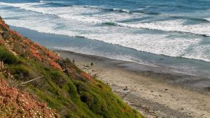 Beacon's Beach Beaches of Encinitas