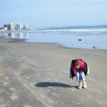 Coronado Shores Beach Coronado Island