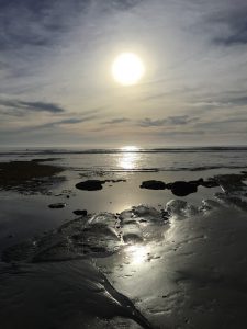 Swami's State Beach Tidepools